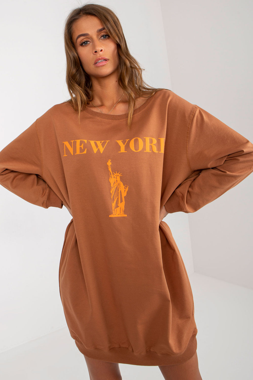 Image of Sweatshirt brun