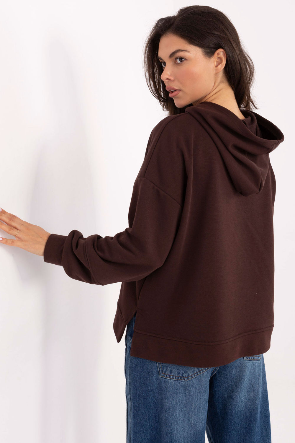 Product image of Sweatshirt brun