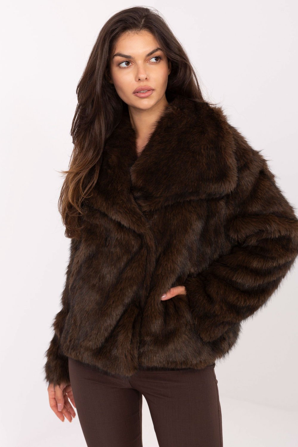 Image of Veste brune