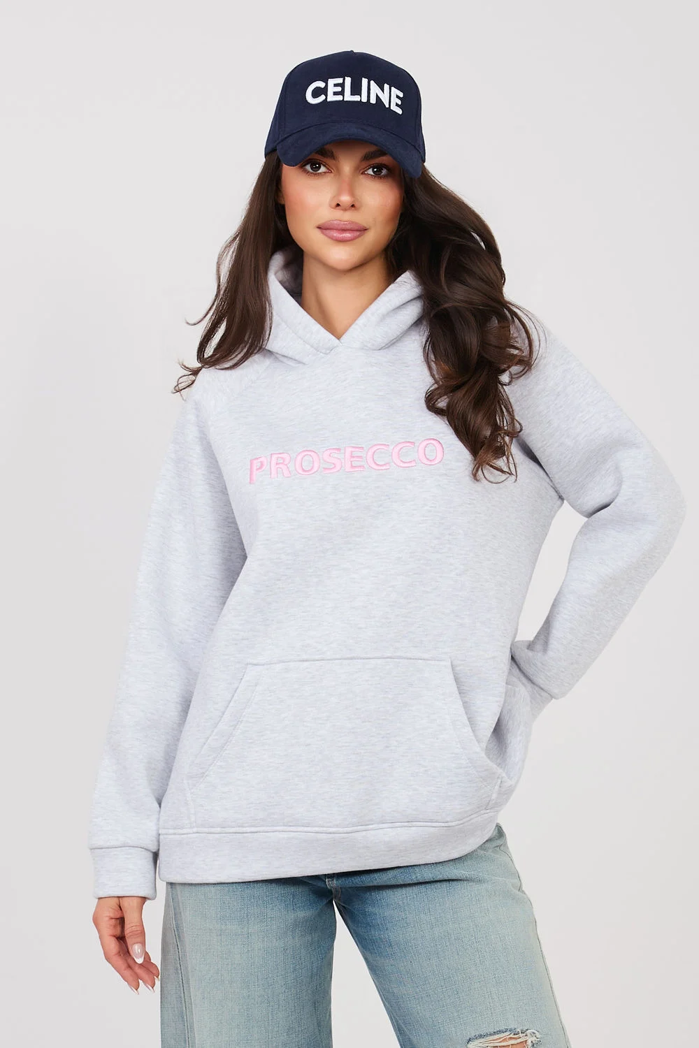 Sweatshirt à capuche gris brodé